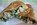 Italian Cuisine Dish